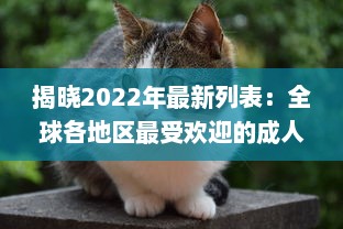 揭晓2022年最新列表：全球各地区最受欢迎的成人猫咪网名一览 v2.2.4下载