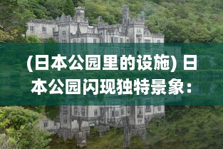 (日本公园里的设施) 日本公园闪现独特景象：丰满熄火灯带来不一样的夜晚艺术