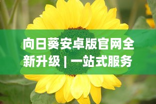 向日葵安卓版官网全新升级 | 一站式服务平台 | 官方直达下载，安全放心