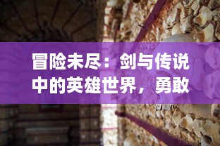 冒险未尽：剑与传说中的英雄世界，勇敢的心、坚定的信仰和历经磨难的荣耀之旅