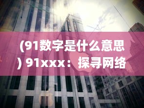 (91数字是什么意思) 91xxx：探寻网络神秘数字的背后含义与其在现代社会中的影响力