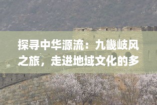 探寻中华源流：九畿岐风之旅，走进地域文化的多元韵律和历史积淀