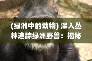 (绿洲中的动物) 深入丛林追踪绿洲野兽：揭秘自然界中隐藏的陆地未知生物王国