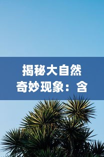 揭秘大自然奇妙现象：含羞草感应反应视频在线观看及科学原理解析 v4.6.1下载