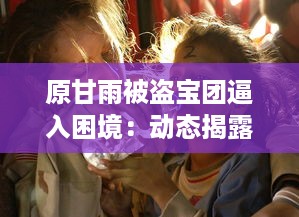 原甘雨被盗宝团逼入困境：动态揭露危机全过程与后续救援援助详情