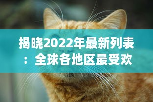 揭晓2022年最新列表：全球各地区最受欢迎的成人猫咪网名一览 v2.3.9下载