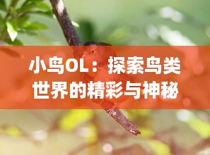 小鸟OL：探索鸟类世界的精彩与神秘，体验生态学习与虚拟养成的双重乐趣