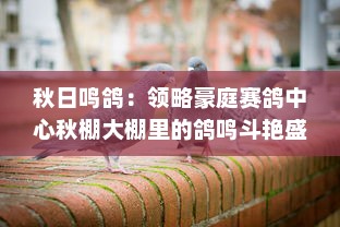 秋日鸣鸽：领略豪庭赛鸽中心秋棚大棚里的鸽鸣斗艳盛况 v7.7.6下载