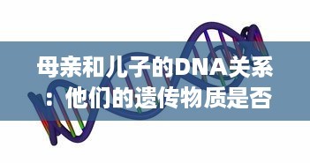 母亲和儿子的DNA关系：他们的遗传物质是否完全一样 v4.5.5下载