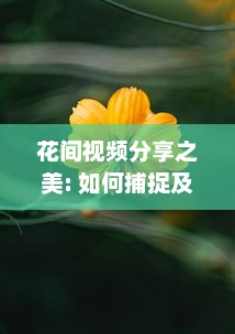 花间视频分享之美: 如何捕捉及传达自然之美的独家秘诀 v8.9.6下载