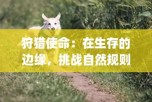 狩猎使命：在生存的边缘，挑战自然规则，揭示人与野生动物的共生关系