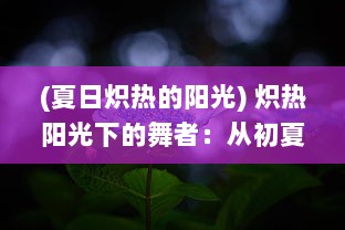 (夏日炽热的阳光) 炽热阳光下的舞者：从初夏到深秋，跟随夏晴子的绚丽人生之旅