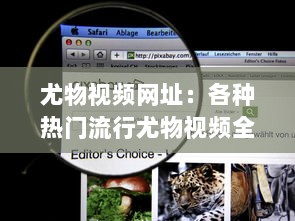 尤物视频网址：各种热门流行尤物视频全覆盖的在线观看平台推荐