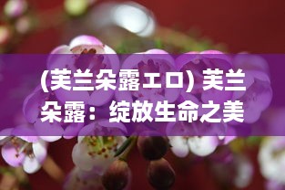 (芙兰朵露エロ) 芙兰朵露：绽放生命之美的神秘花卉，诉说无尽的浪漫与传奇