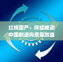 红桃国产：持续推动中国制造向质量效益型和高端制造转变的创新之路 v9.7.8下载