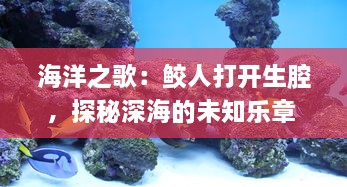 海洋之歌：鲛人打开生腔，探秘深海的未知乐章 v5.9.5下载