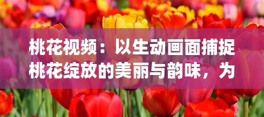 桃花视频：以生动画面捕捉桃花绽放的美丽与韵味，为您带来视觉与感觉的双重享受 v7.9.9下载