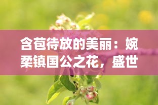 含苞待放的美丽：婉柔镇国公之花，盛世繁华的瑰丽象征 v8.1.2下载