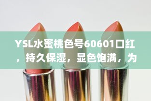 YSL水蜜桃色号60601口红，持久保湿，显色饱满，为您的妆容增添鲜艳光彩 v0.8.4下载