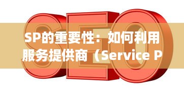 SP的重要性：如何利用服务提供商（Service Provider）有效提高业务运营效率