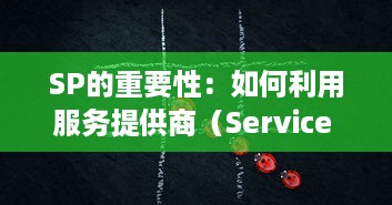 SP的重要性：如何利用服务提供商（Service Provider）有效提高业务运营效率