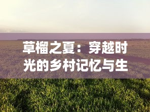 草榴之夏：穿越时光的乡村记忆与生活哲学的深度挖掘 v0.1.4下载