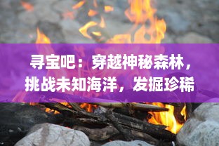 寻宝吧：穿越神秘森林，挑战未知海洋，发掘珍稀文物的全球奇幻之旅