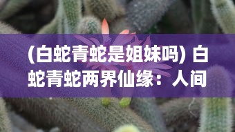 (白蛇青蛇是姐妹吗) 白蛇青蛇两界仙缘：人间情深仙劫难，恩怨情仇百年传世恋