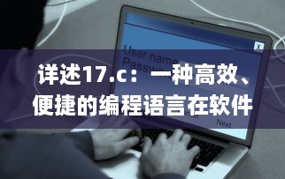 详述17.c：一种高效、便捷的编程语言在软件开发中的关键应用与优势 v9.6.7下载