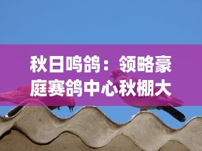 秋日鸣鸽：领略豪庭赛鸽中心秋棚大棚里的鸽鸣斗艳盛况 v7.1.5下载