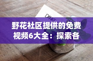 野花社区提供的免费视频6大全：探索各领域精彩内容，满足各类型观看需求 v3.7.2下载