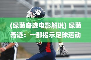 (绿茵奇迹电影解说) 绿茵奇迹：一部揭示足球运动背后的奋斗与坚韧精神的真实纪实