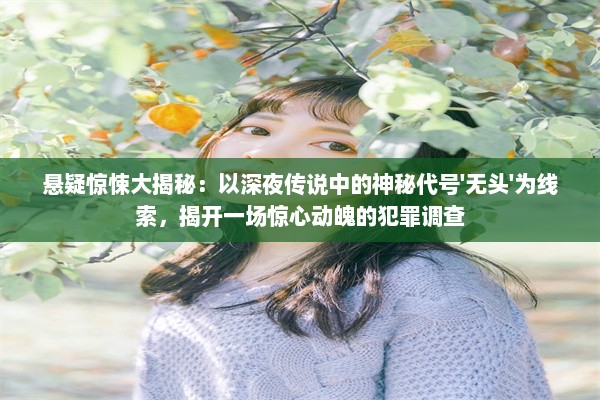 悬疑惊悚大揭秘：以深夜传说中的神秘代号'无头'为线索，揭开一场惊心动魄的犯罪调查