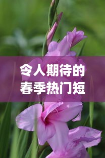 令人期待的春季热门短剧桃花马上起长缨 完整版免费在线观看，感受古风情缘的唯美故事 v2.0.3下载