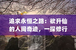 追求永恒之路：欲升仙的人间奇迹，一探修行者追求长生不老的秘密