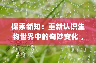 探索新知：重新认识生物世界中的奇妙变化 ，蝌蚪视频带你深入了解青蛙的成长过程