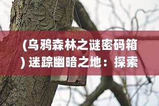 (乌鸦森林之谜密码箱) 迷踪幽暗之地：探索秘密丛生的乌鸦森林中隐藏的奇异与恐惧