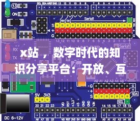 x站 ，数字时代的知识分享平台：开放、互动与创新的网络学习空间探索