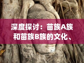 深度探讨：苗族A族和苗族B族的文化、历史和生活习惯有哪些主要区别 v9.7.1下载