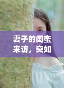 妻子的闺蜜来访，突如其来的视频通话揭示了什么秘密 婚姻中的信任与隐私探究 v2.9.2下载