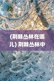 (荆棘丛林在哪儿) 荆棘丛林中的生存挑战：大自然野性的拳头与肉体的殊死肉搏