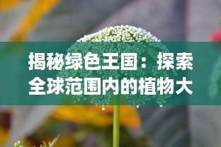 揭秘绿色王国：探索全球范围内的植物大联盟，种类、特性与人类生活的千丝万缕联系