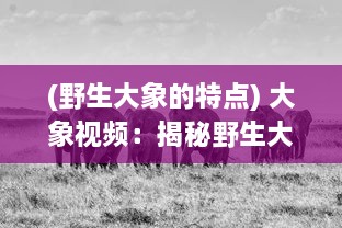 (野生大象的特点) 大象视频：揭秘野生大象的日常生活习性和保护现状