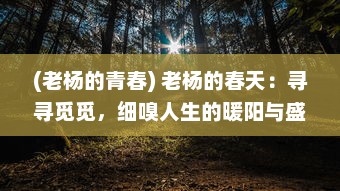 (老杨的青春) 老杨的春天：寻寻觅觅，细嗅人生的暖阳与盛开的希望