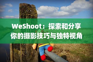 WeShoot：探索和分享你的摄影技巧与独特视角的全球性社交平台