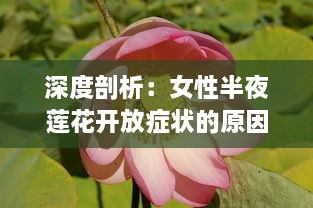 深度剖析：女性半夜莲花开放症状的原因及其有效的医学治疗方法 v5.9.3下载