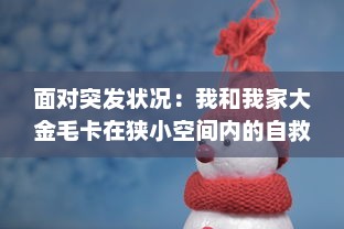 面对突发状况：我和我家大金毛卡在狭小空间内的自救心得与实践策略分享