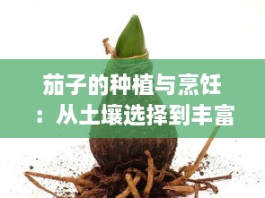 茄子的种植与烹饪：从土壤选择到丰富的家常菜谱 v8.4.4下载