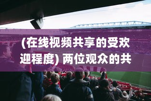 (在线视频共享的受欢迎程度) 两位观众的共享视觉体验：探讨在线平台www的同步观看功能