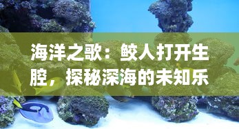 海洋之歌：鲛人打开生腔，探秘深海的未知乐章 v6.3.0下载